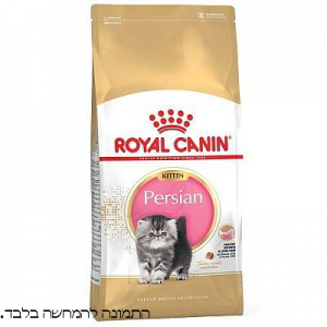רויאל קנין חתול חתול פרסי  PERSIAN ADULT בינוני