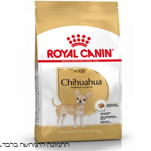 רויאל קנין כלב ציוואווה  ADULT CHIWAWA קטן