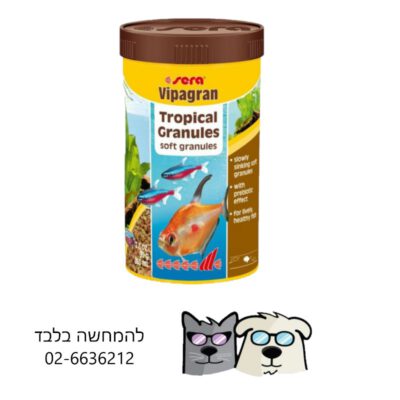 מזון דגים דגים טרופיים