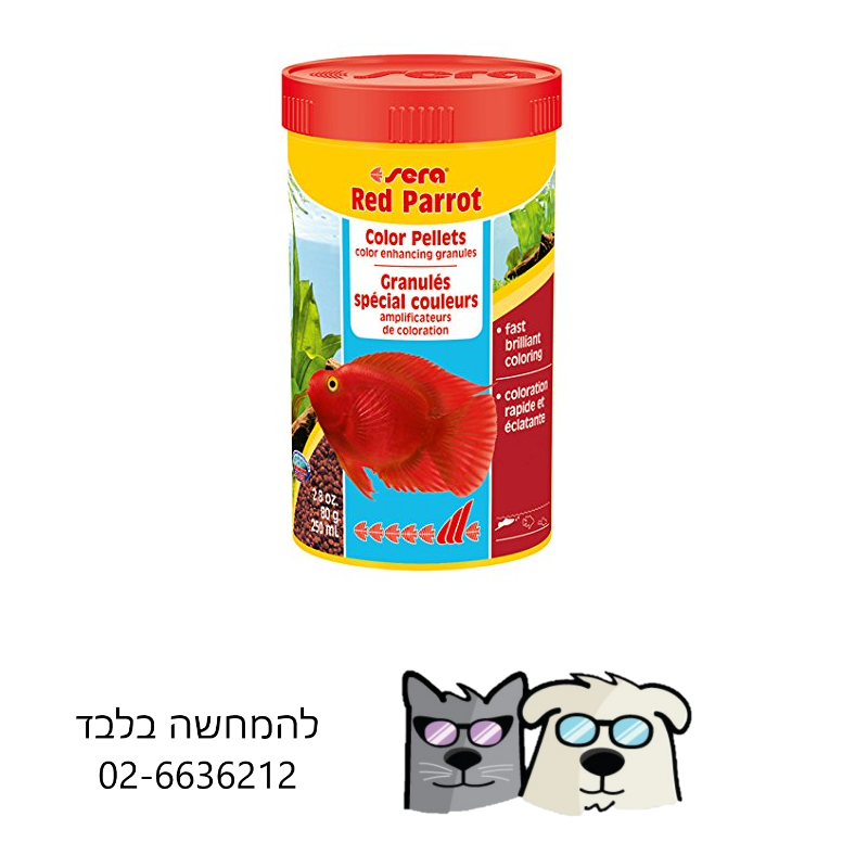 מזון דגים דגי רד פרוט