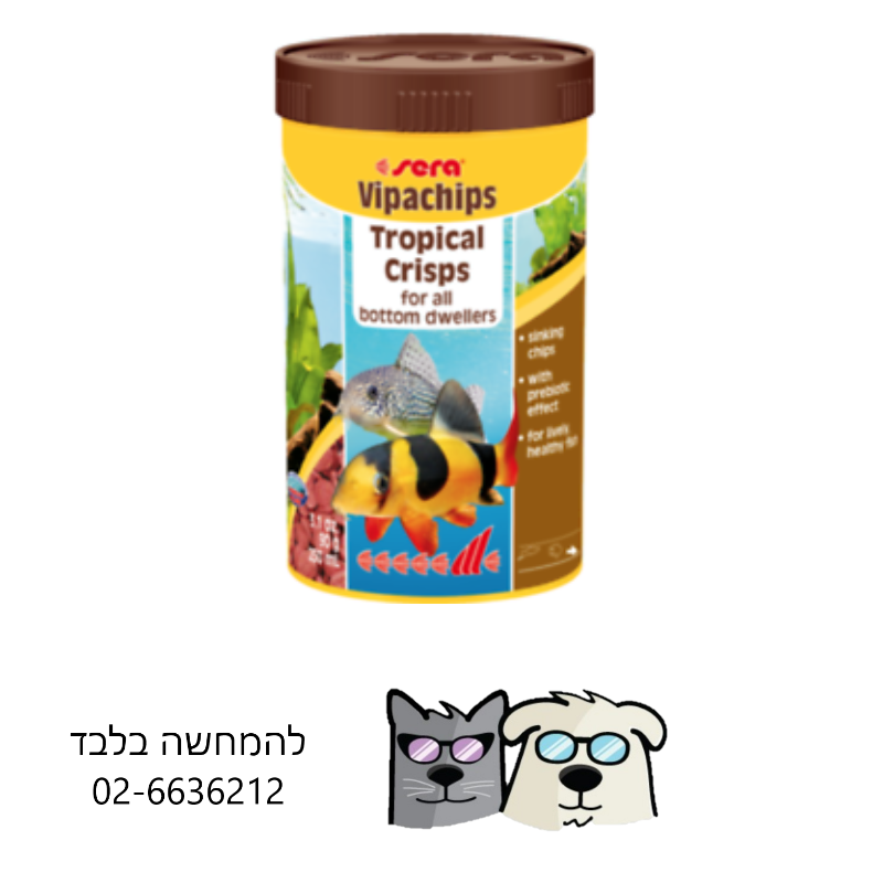 מזון דגים דגי קרקעית