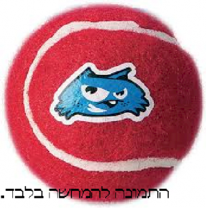 צעצוע כלב כדור טניס גודל סטנדרט רוגז אדום