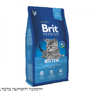 בריט חתולים עוף וסלומון גורים BRIT גדול