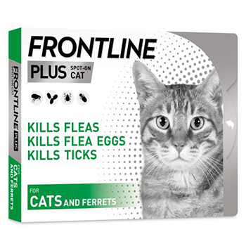 frontline פרונטליין אמפלות לחתולים