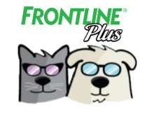 frontline partner