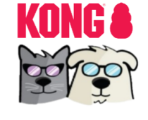 kong partner