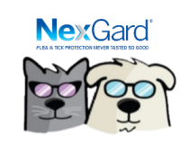 nexgard partner