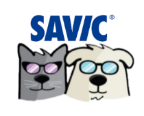 savic partner