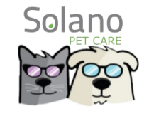 solano partner